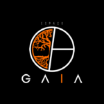 Escola De Dança Espaço Gaia