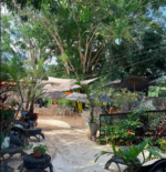 BUTEKO DO CHAGUINHA NOSSA PRAIA