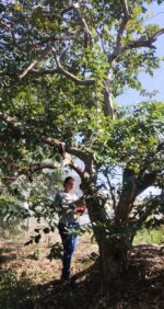 Engenharia Ambiental | Fitus Engenharia e Soluções Ambientais