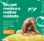 Rede Pop Center – Av. São Paulo